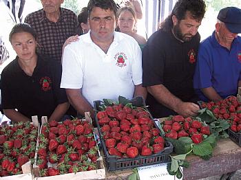 „Дани јагода“ у селу Гредетин