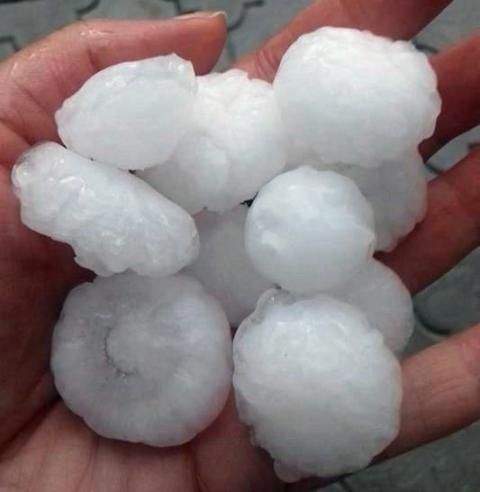 Foto Danijela Petković, Aleksinac